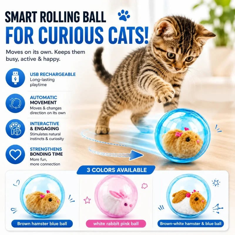 The cat ball rolling and changing direction